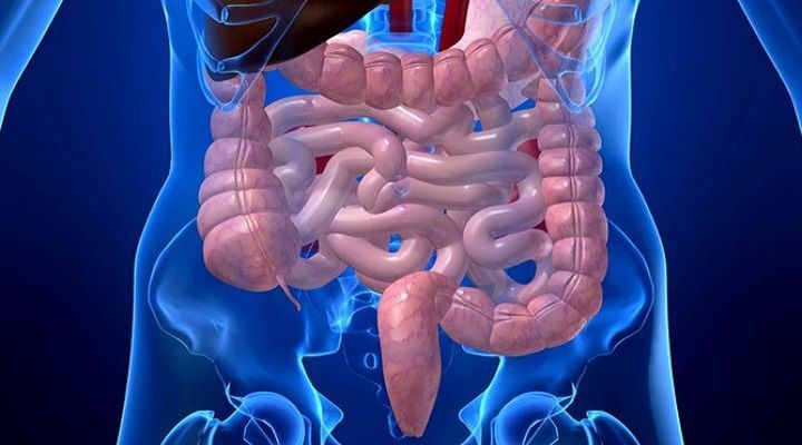 DR. SERGIO VILLALOBOS RIVERA