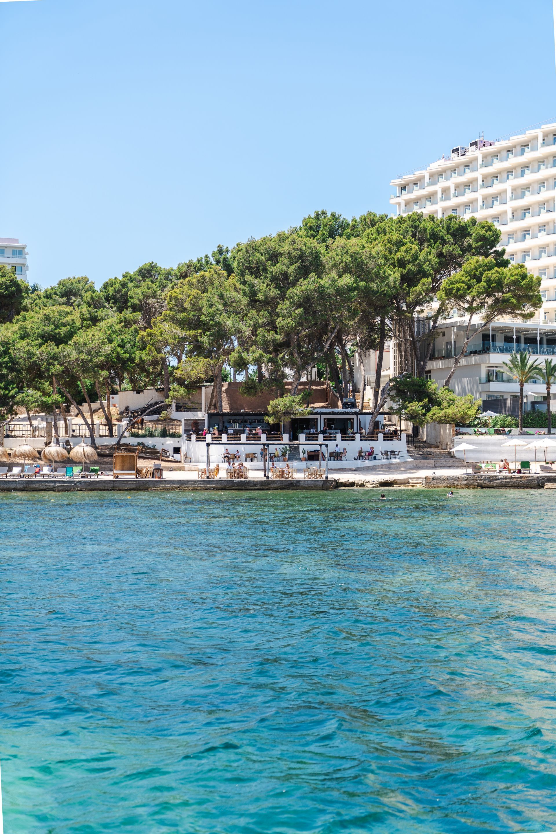 Un restaurante frente al mar blanco con árboles, agua azul y un edificio alto al fondo bajo un cielo azul brillante.