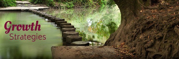 Stepping stone path across water to show how growth strategies can help guide an organization to the positive side of profitability.
