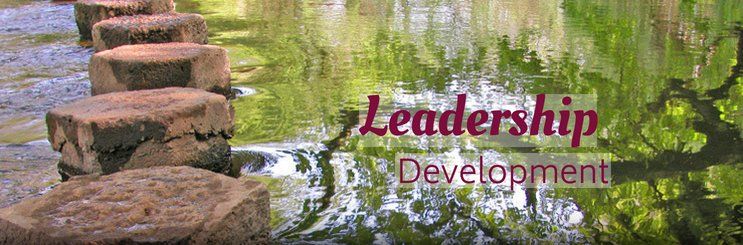 Stepping stones across a stream - metaphorical example of how The Pillars Executive programs help new leaders.