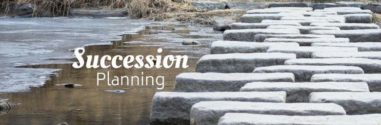 An intricate stone path across a small stream depicting how good succession planning from The Pillars provides an organization with a clear stable path.