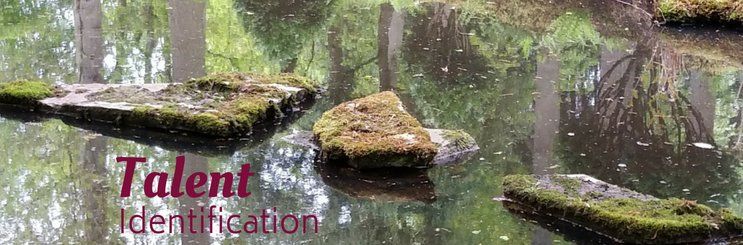 Rustic stone path across a small pond of calm water  - depicting a bridge to guide an organization to  effective talent assessment and hiring.