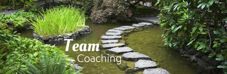 Attractive curved stone path across a small body of water depicting how team coaching can move an organization forward.