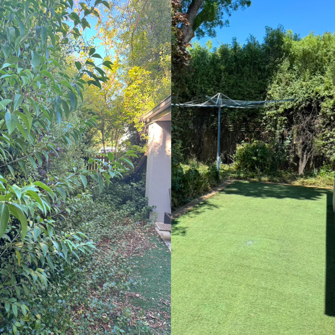 A Before and After Picture of a Garden With Trees and Grass — CBR Maintenance In Curtin, ATC