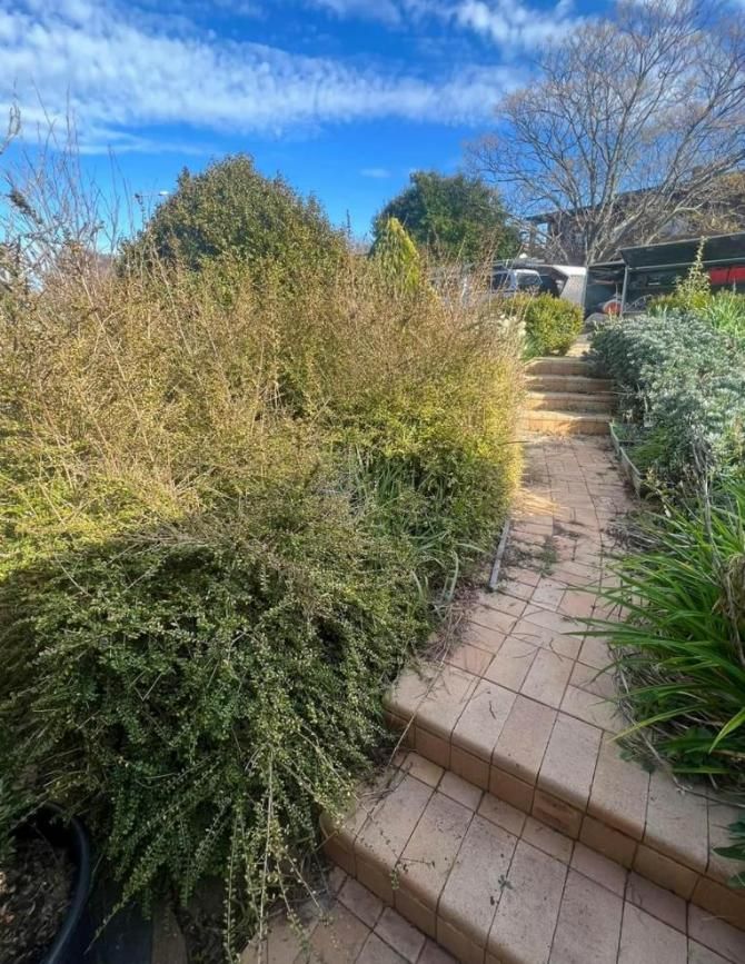A Brick Walkway Leading up To a House Surrounded by Trees and Bushes — CBR Maintenance In Curtin, ATC