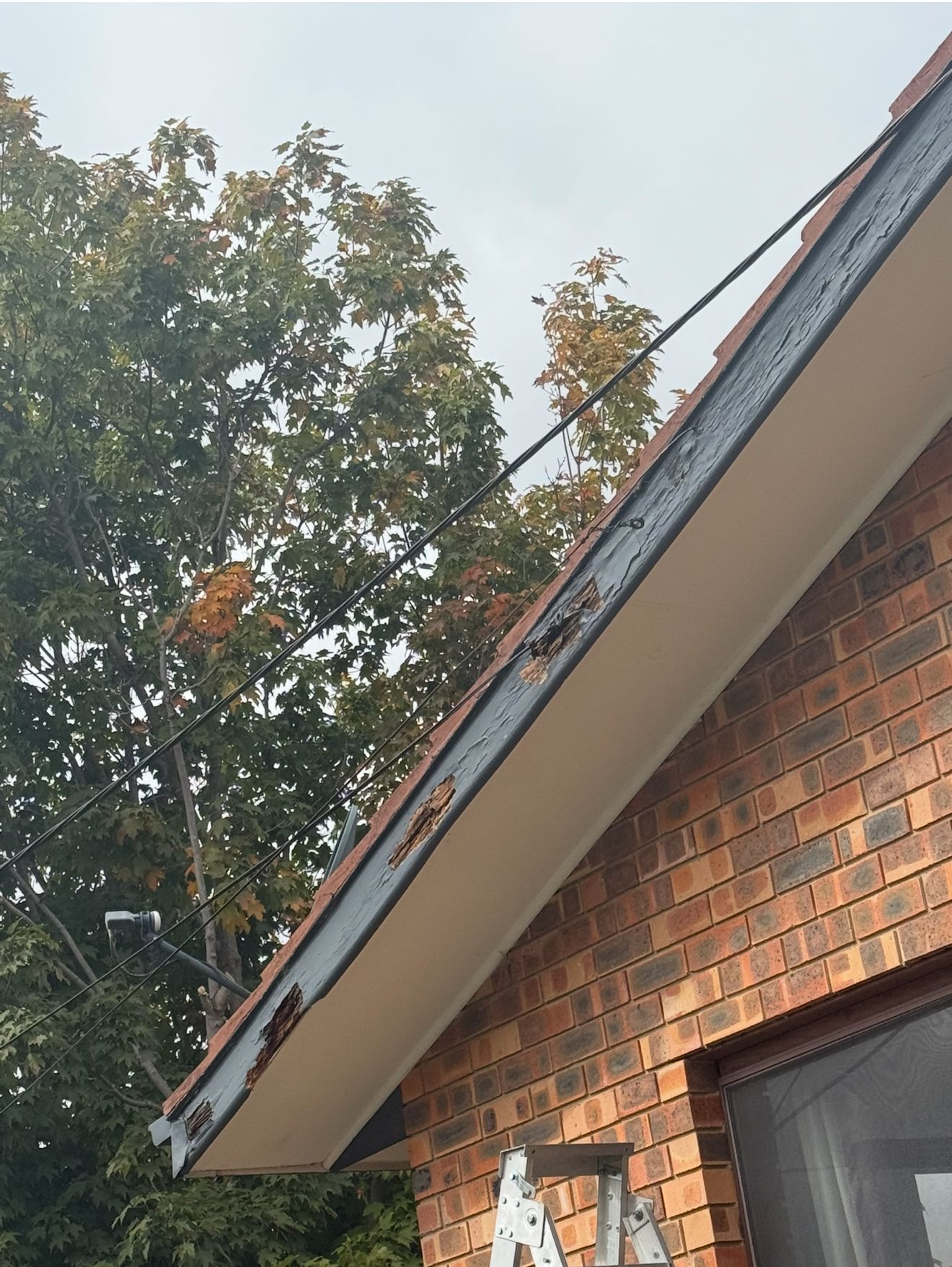 A brick building with a roof that has a ladder on it — CBR Maintenance In Tuggeranong, ATC