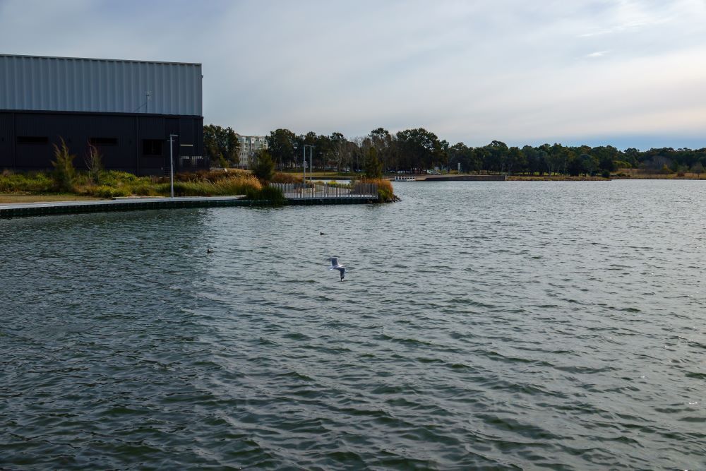 A Large Body of Water With a Building in the Background — CBR Maintenance In Belconnen, ATC