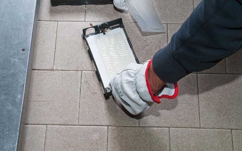 esca per disinfestazione da insetti e roditori a Bologna