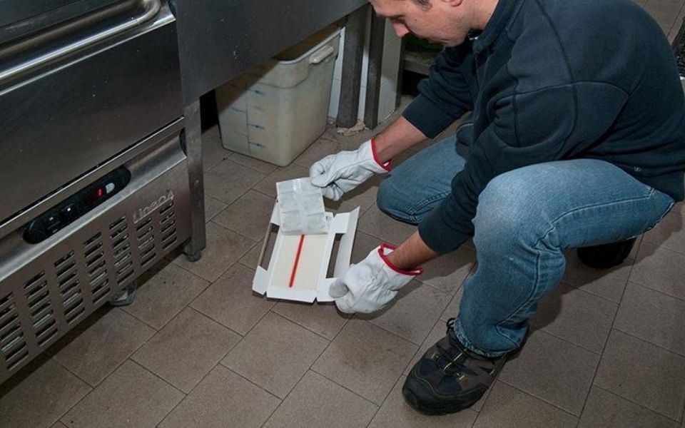 Trappole in ambito HORECA per disinfestazione da insetti e roditori a Bologna