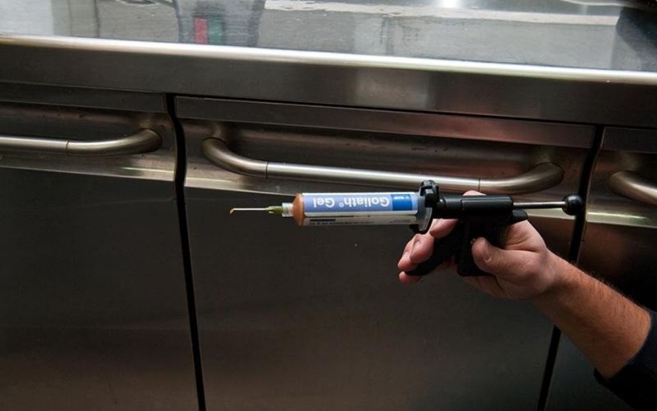 Controllo cucine per disinfestazione da insetti e roditori a Bologna