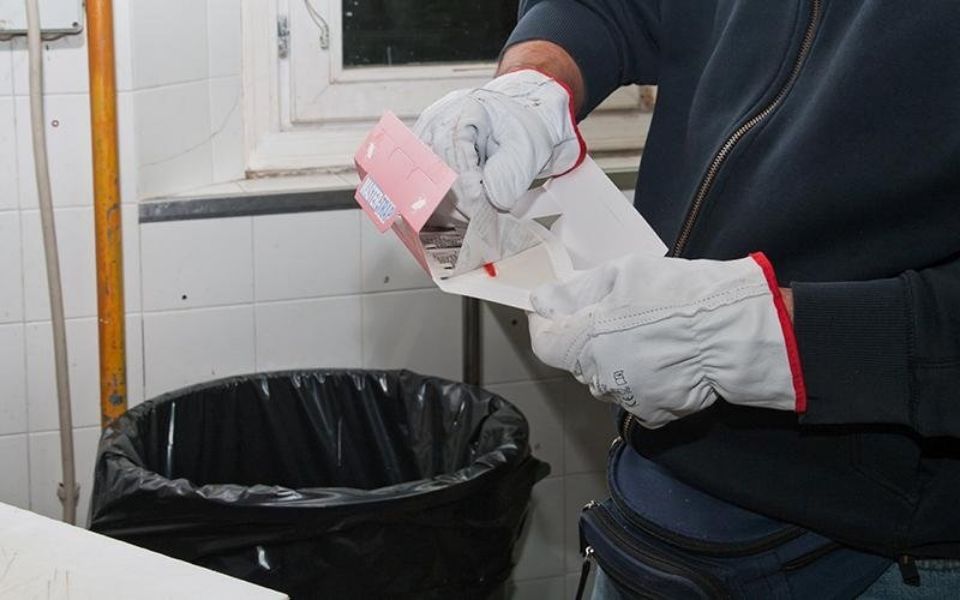 intervento per disinfestazione da insetti e roditori a Bologna