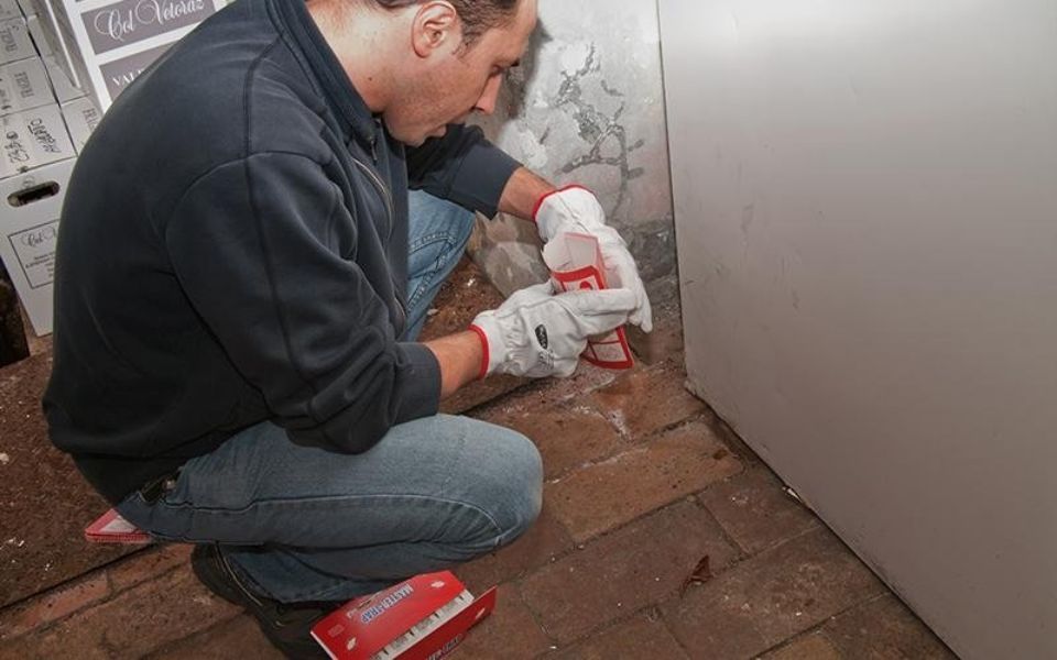 Tecnico per disinfestazione da insetti e roditori a Bologna