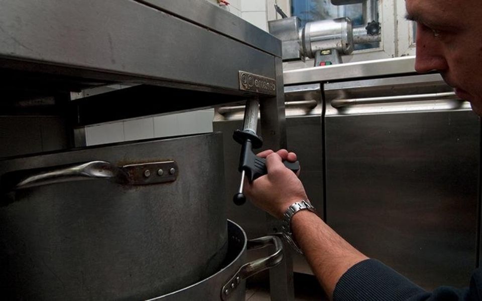 Operazioni di disinfestazione da insetti e roditori a Bologna