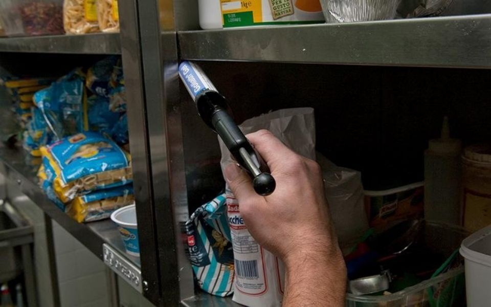 Applicazione di insetticida per disinfestazione da insetti e roditori a Bologna