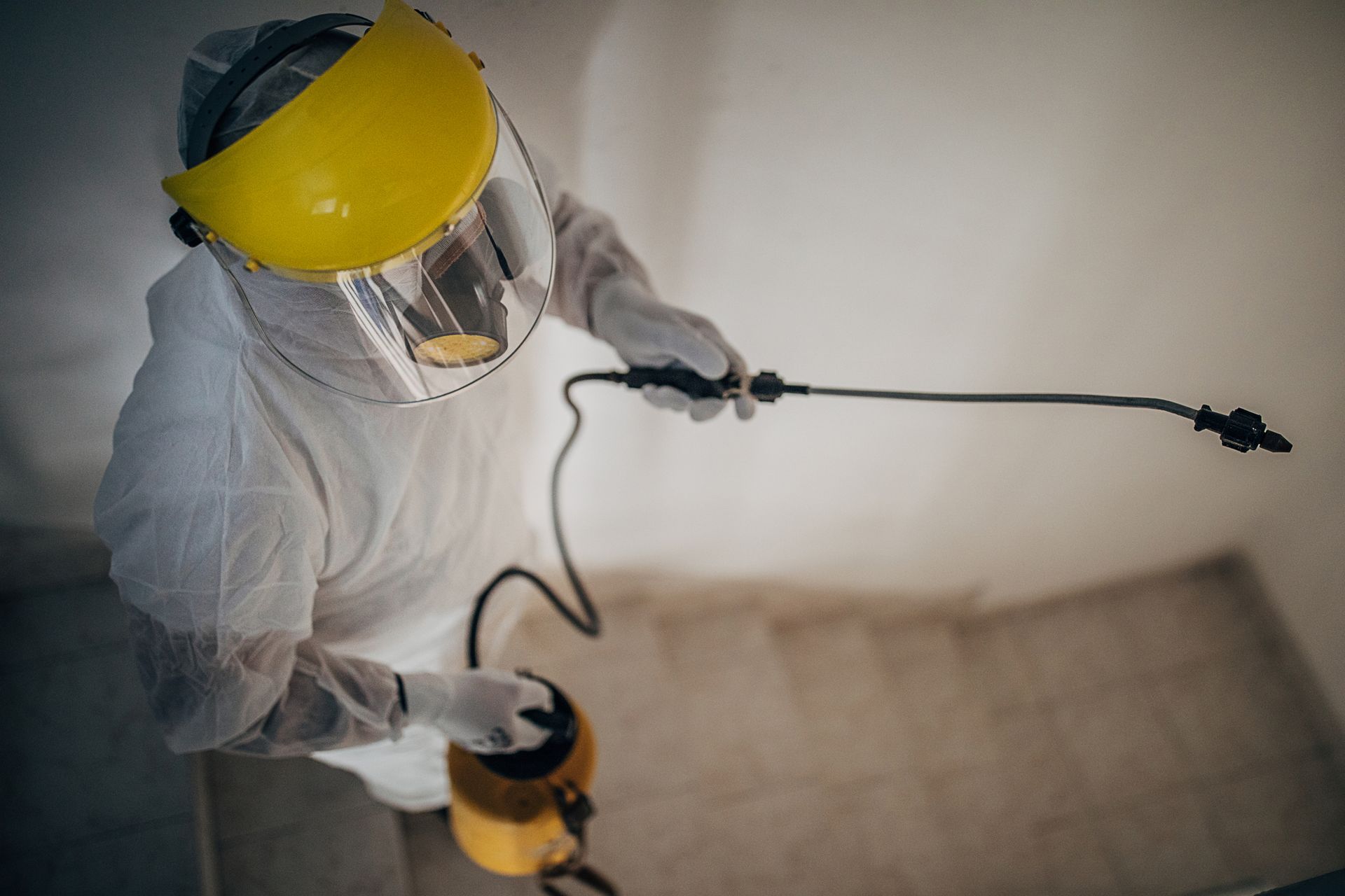 Derattizzazione integrata: come funziona e perché è più efficace degli interventi singoli