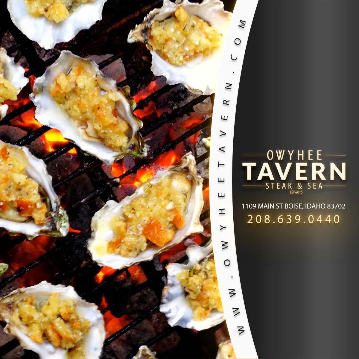 We serve Oysters at the Owyhee Tavern restaurant in Boise, Idaho