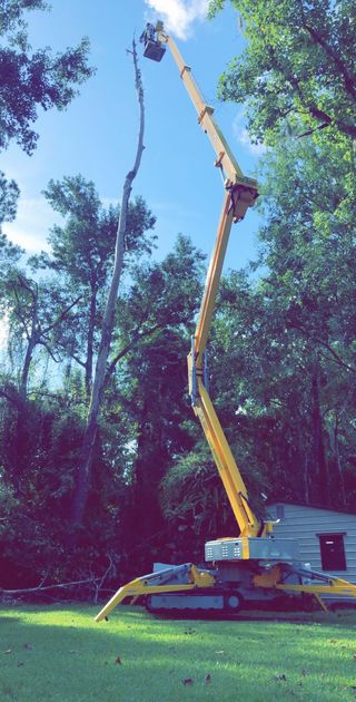 Tree Care — Pesticides Spraying in Jacksonville, FL