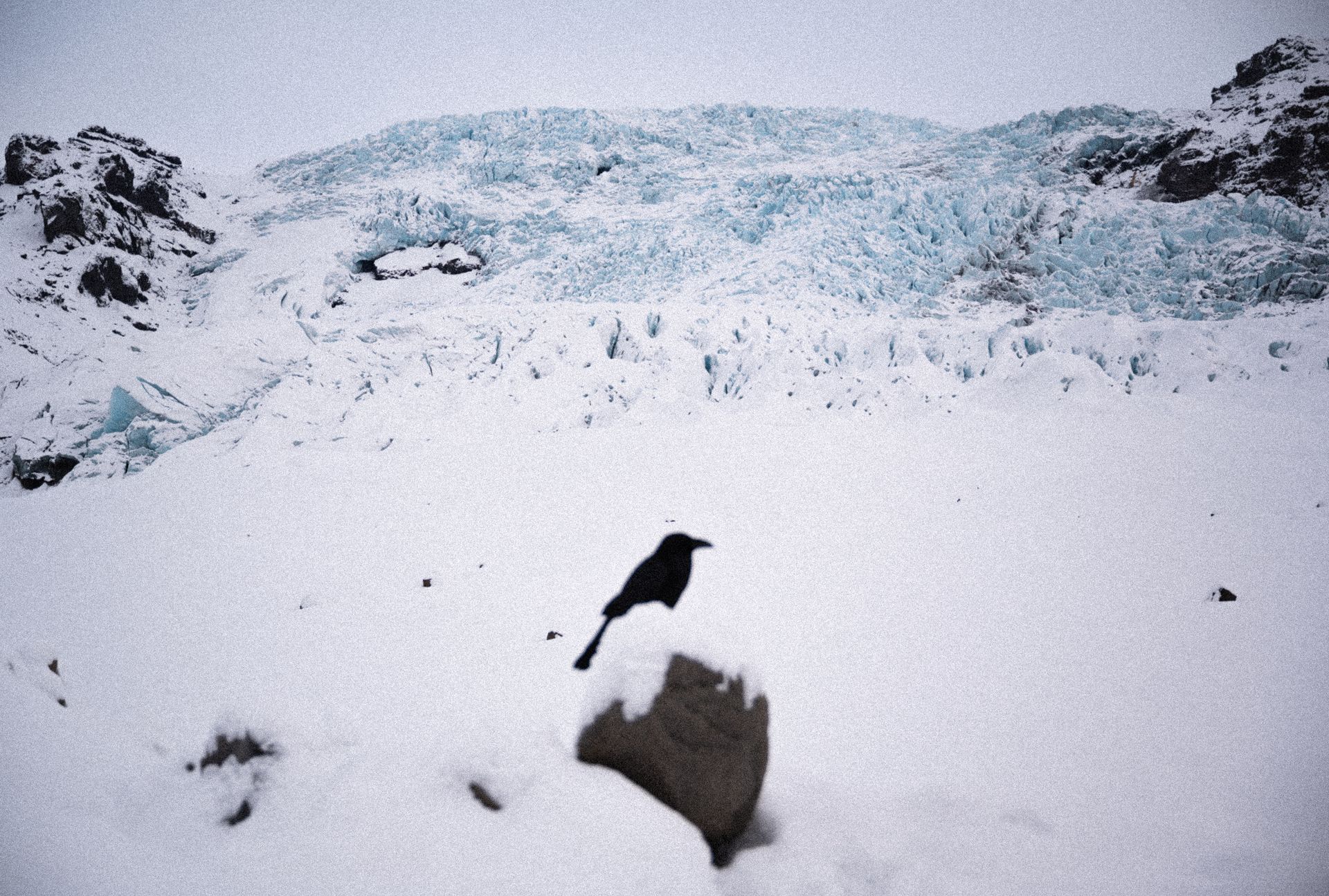 raven_glacier_iceland