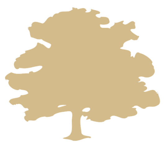 Plant a Trees Initiative