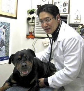 Dr. Scott Harada — Honolulu, HI — The Pet Clinic