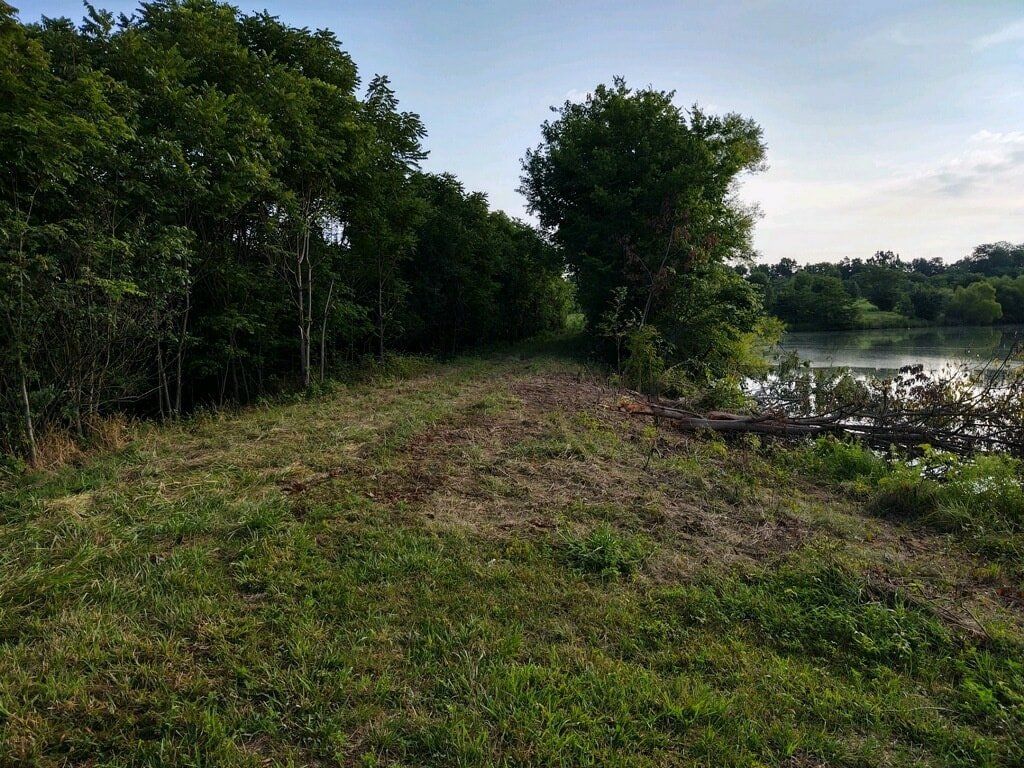 after land clearing Mowing bush hogging brush hogging in louisville