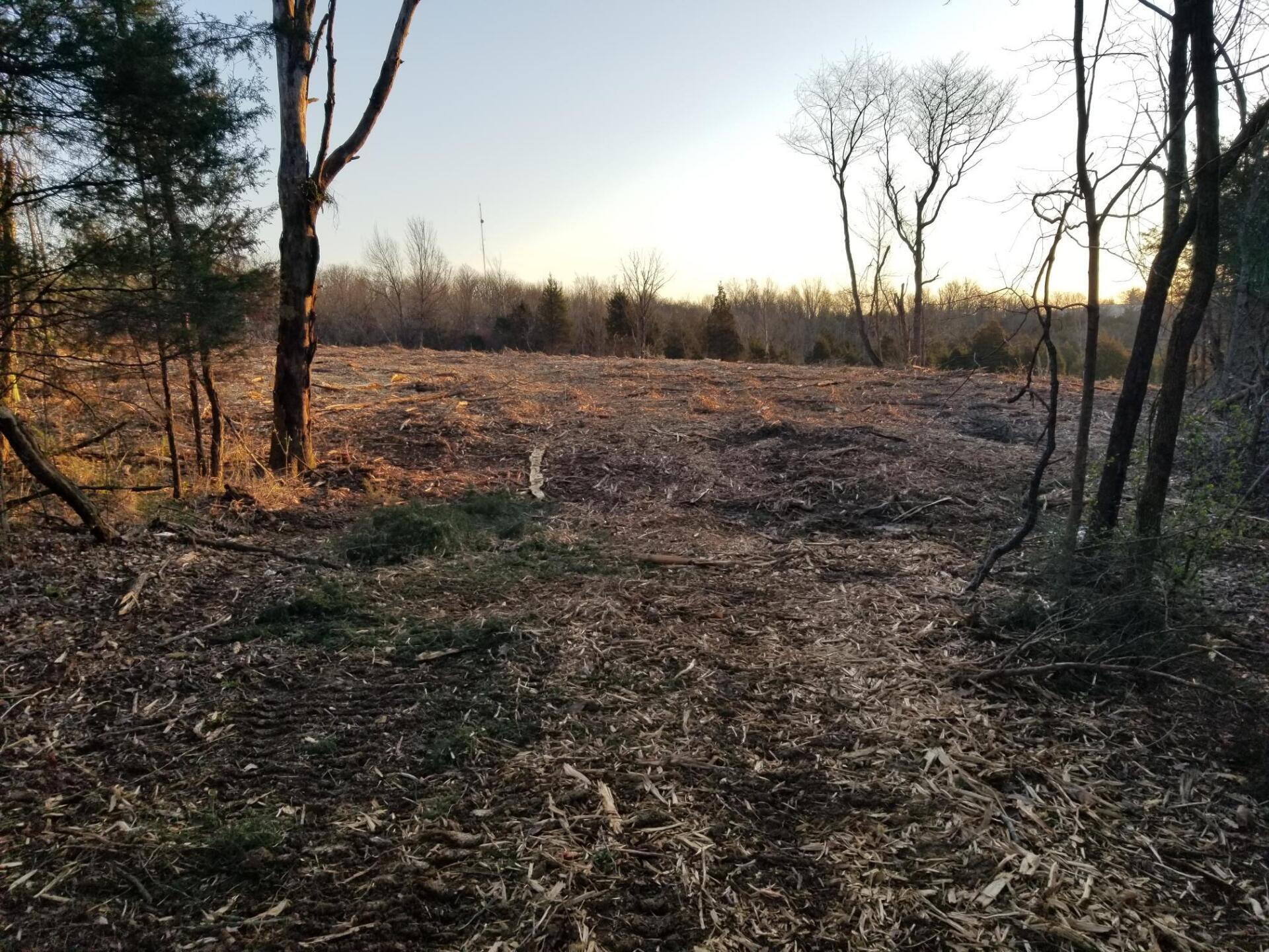 Land Clearing in Kentucky