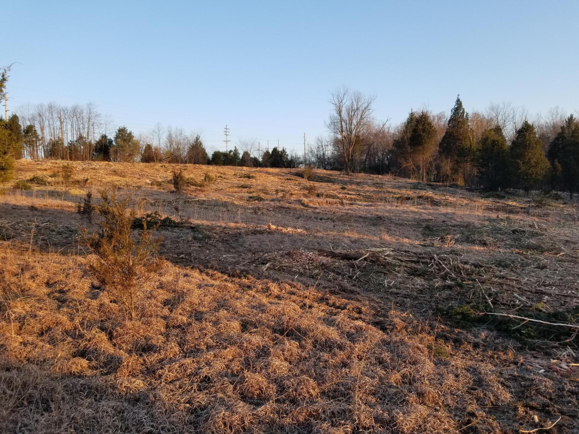 Land clearing in Kentucky