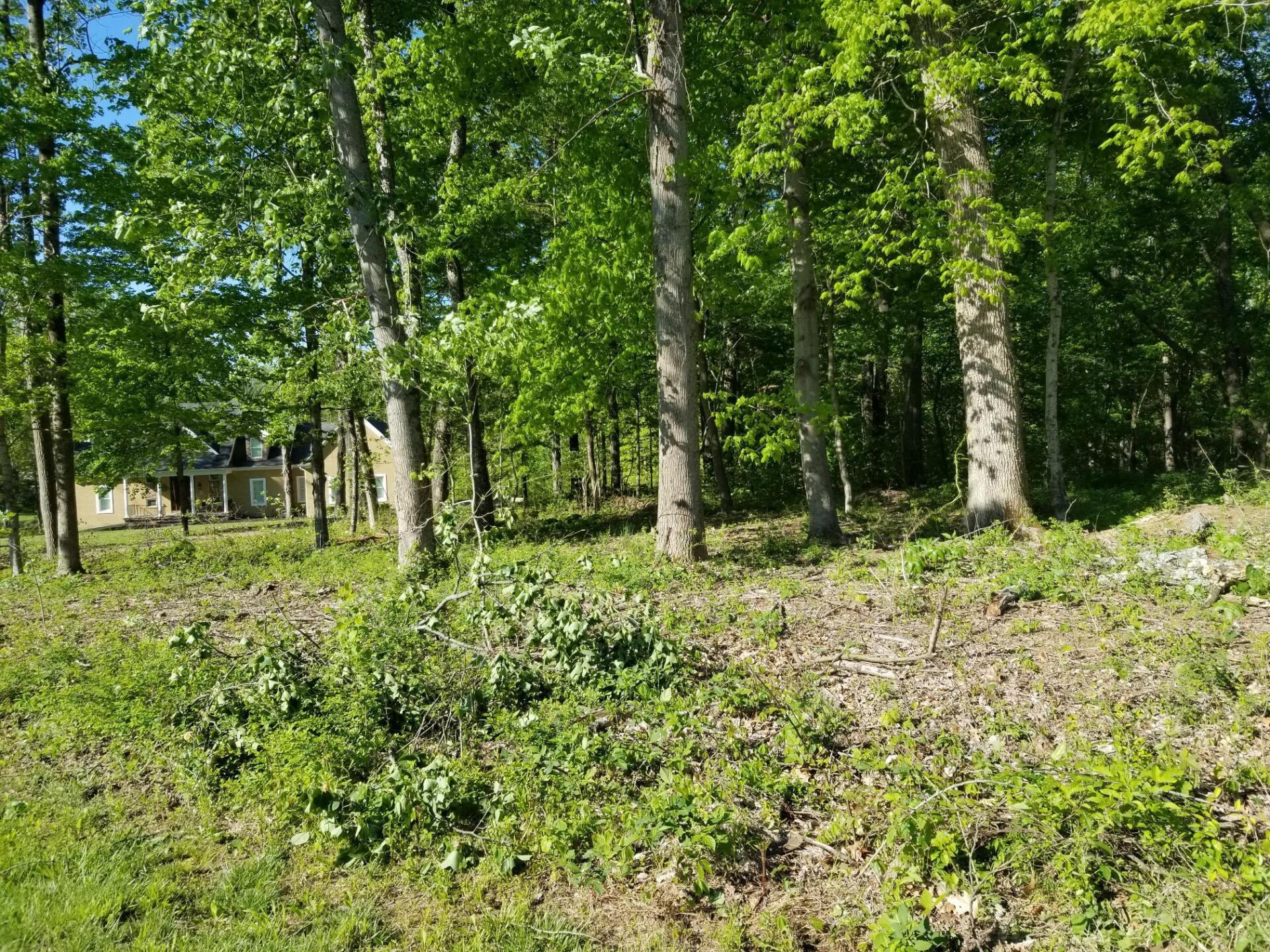 Land Clearing in Kentucky