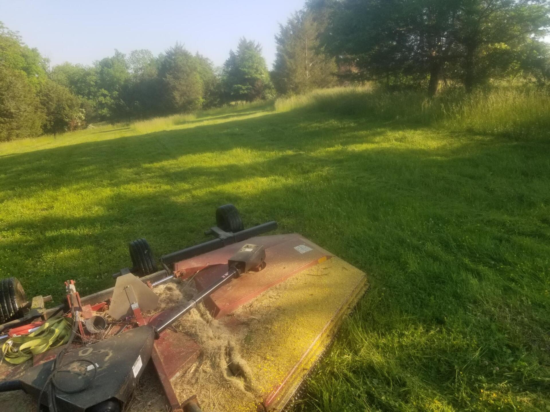 Land Clearing in Kentucky