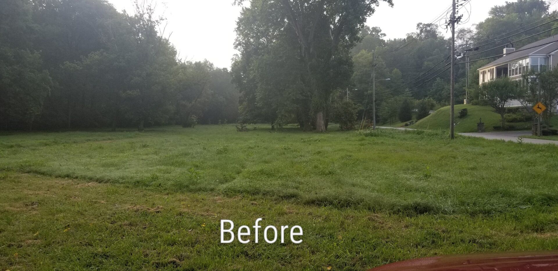 land clearing in louisville, kentucky