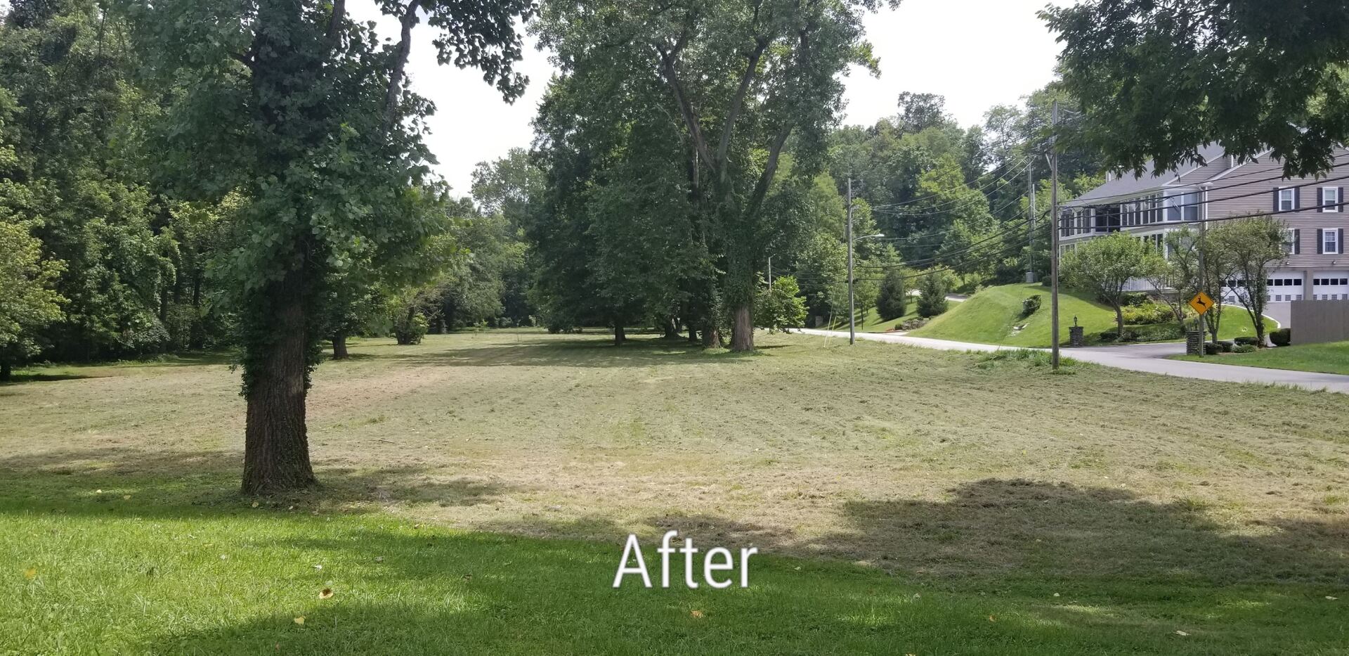 after land clearing Mowing bush hogging brush hogging in louisville