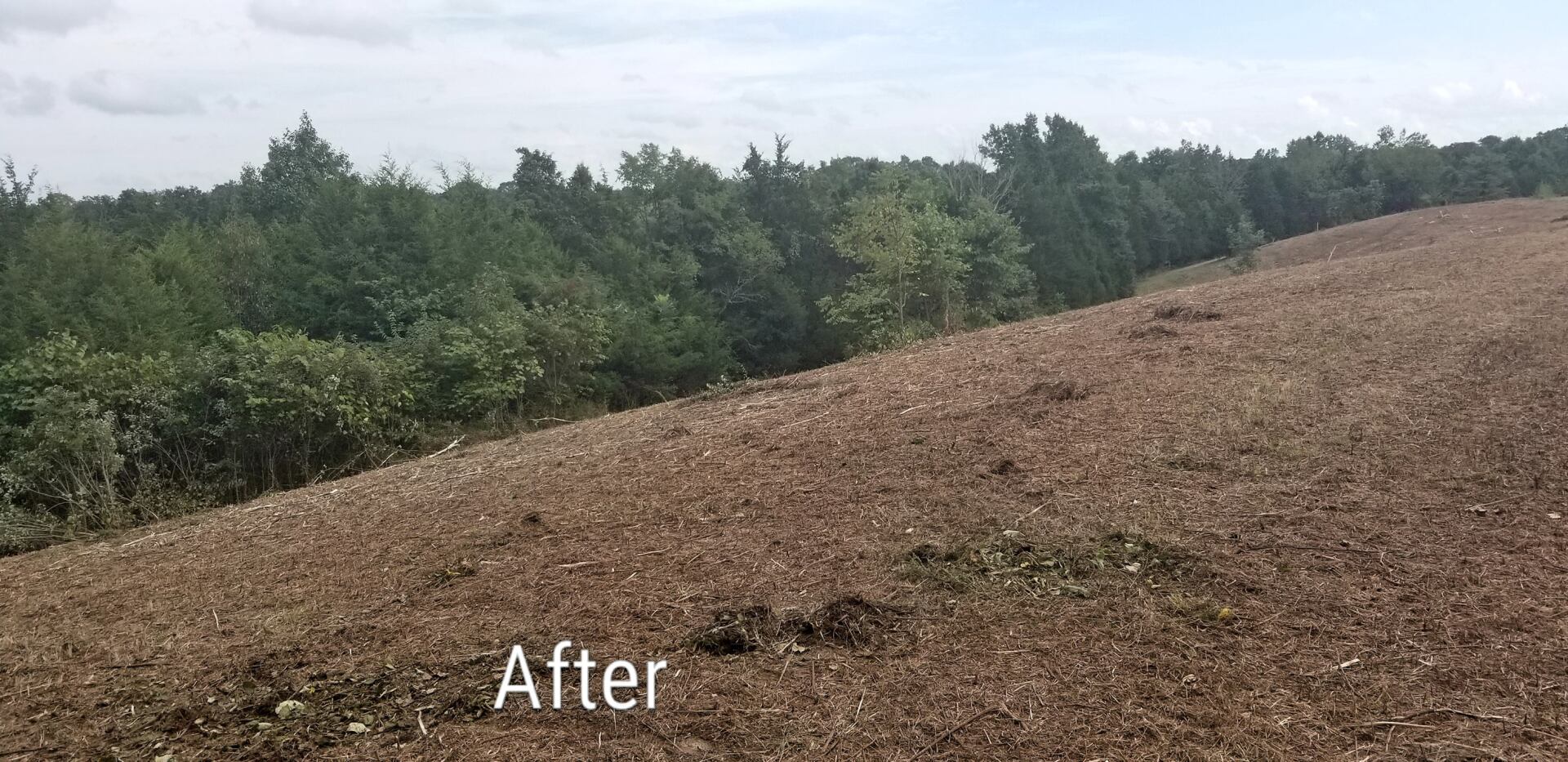 after land clearing Mowing bush hogging brush hogging in louisville