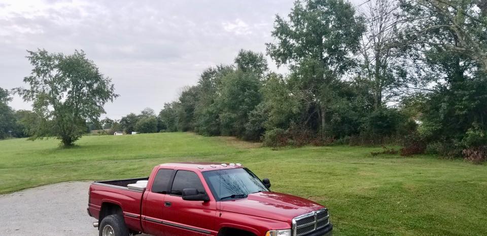 after land clearing Mowing bush hogging brush hogging in louisville