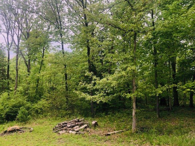 Land Clearing in Kentucky