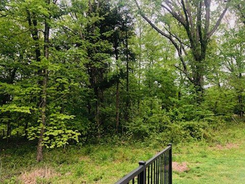 Land Clearing in Kentucky