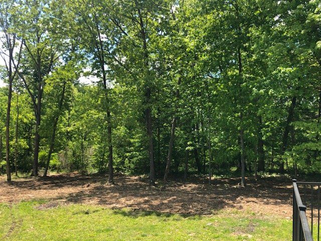 Land Clearing in Kentucky