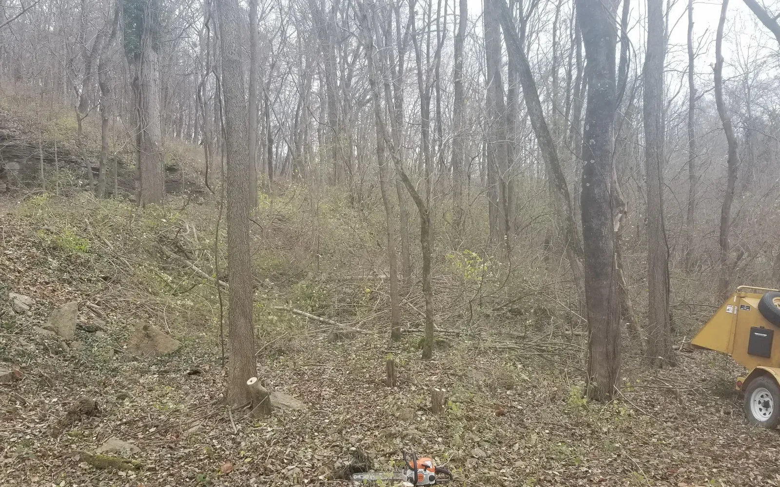 after land clearing Mowing bush hogging brush hogging in louisville