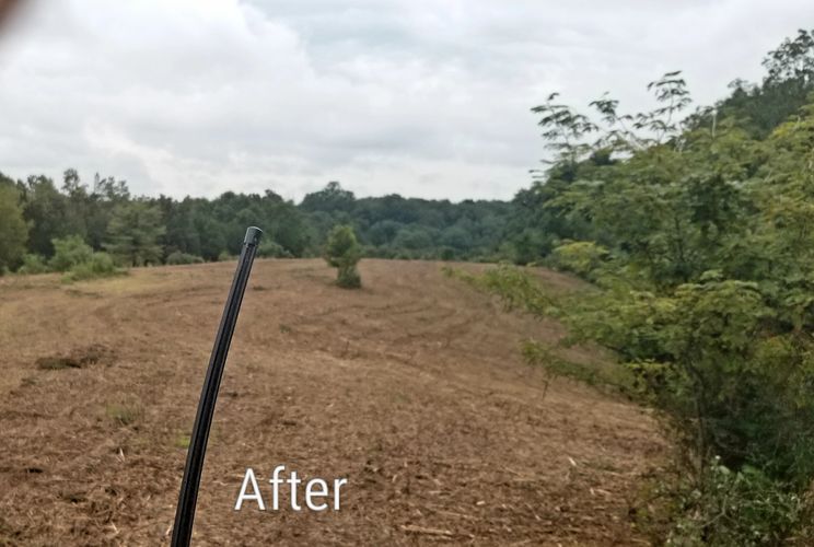 after land clearing Mowing bush hogging brush hogging in louisville