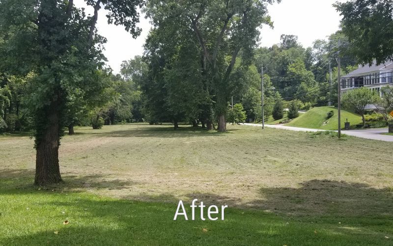 after land clearing Mowing bush hogging brush hogging in louisville