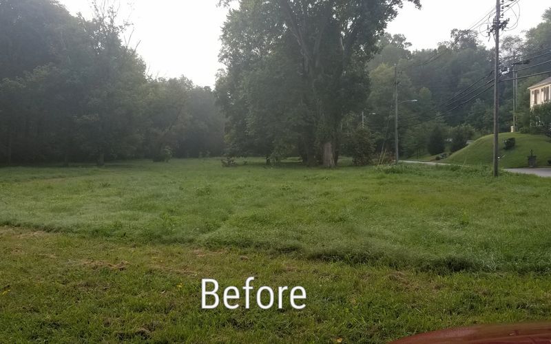 before land clearing Mowing bush hogging brush hogging in louisville