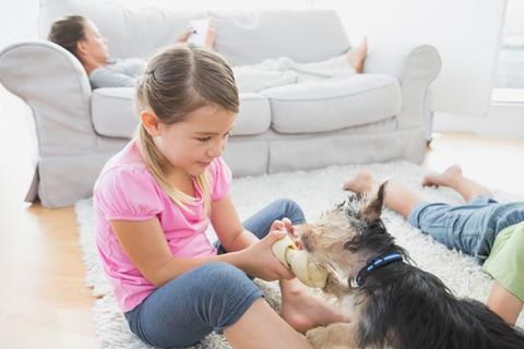 Siblings Lying on Rug — Air Quality Services in Knoxville, TN