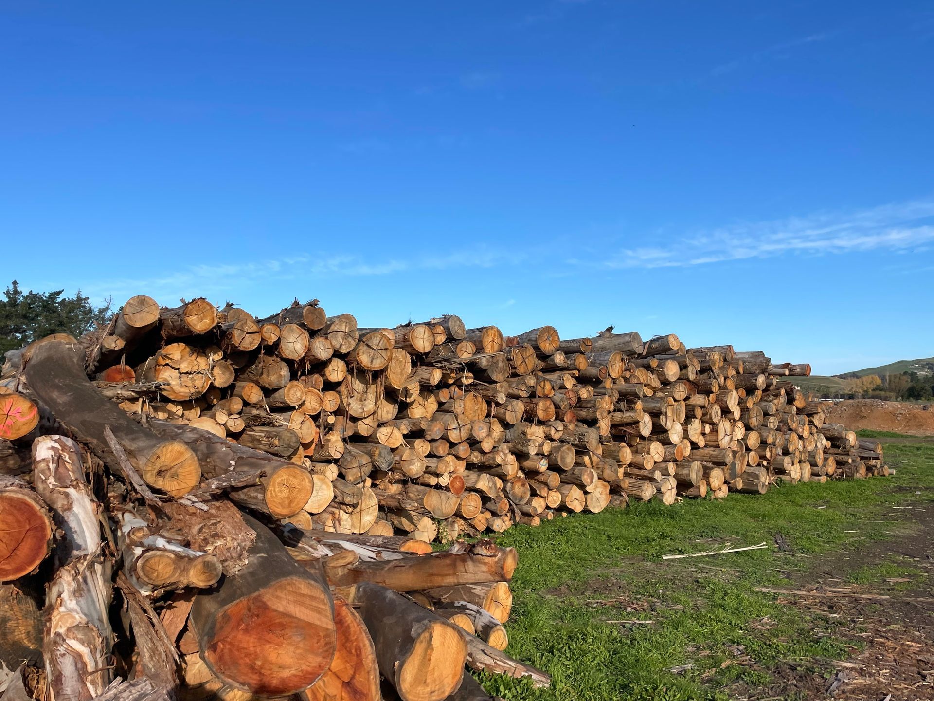 A large pile of logs is sitting on top of a lush green field.
