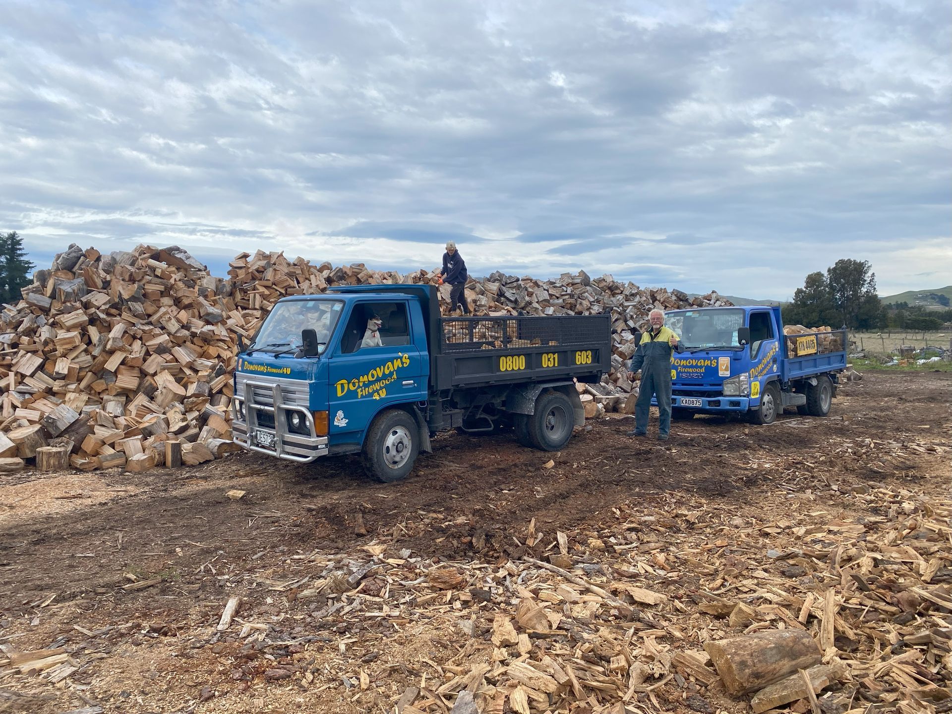 Two blue trucks are parked next to a pile of wood.
