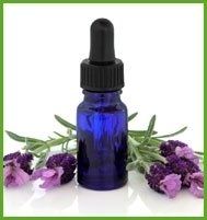 lavanda