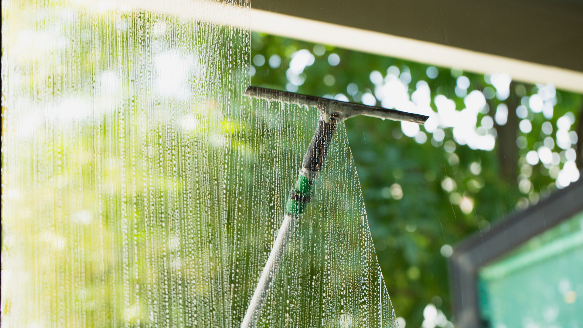 Window being cleaned with a squeegee, with a green, leafy background.