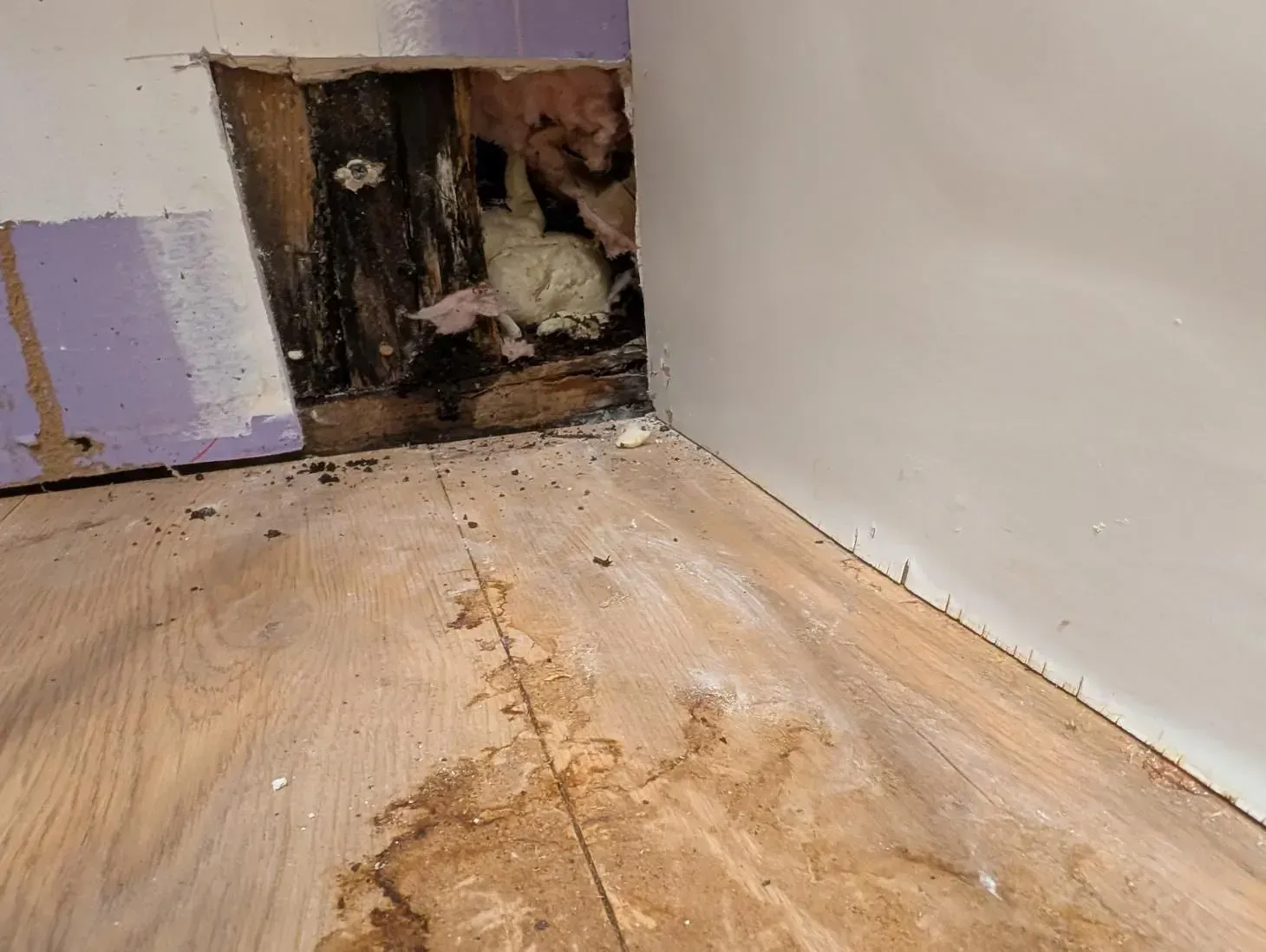 There is a hole in the wall in the corner of the room.