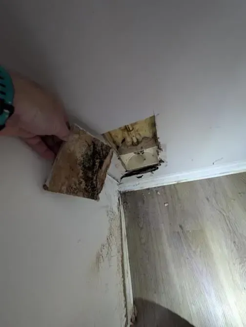 A person is cutting a hole in a wall with a drill.