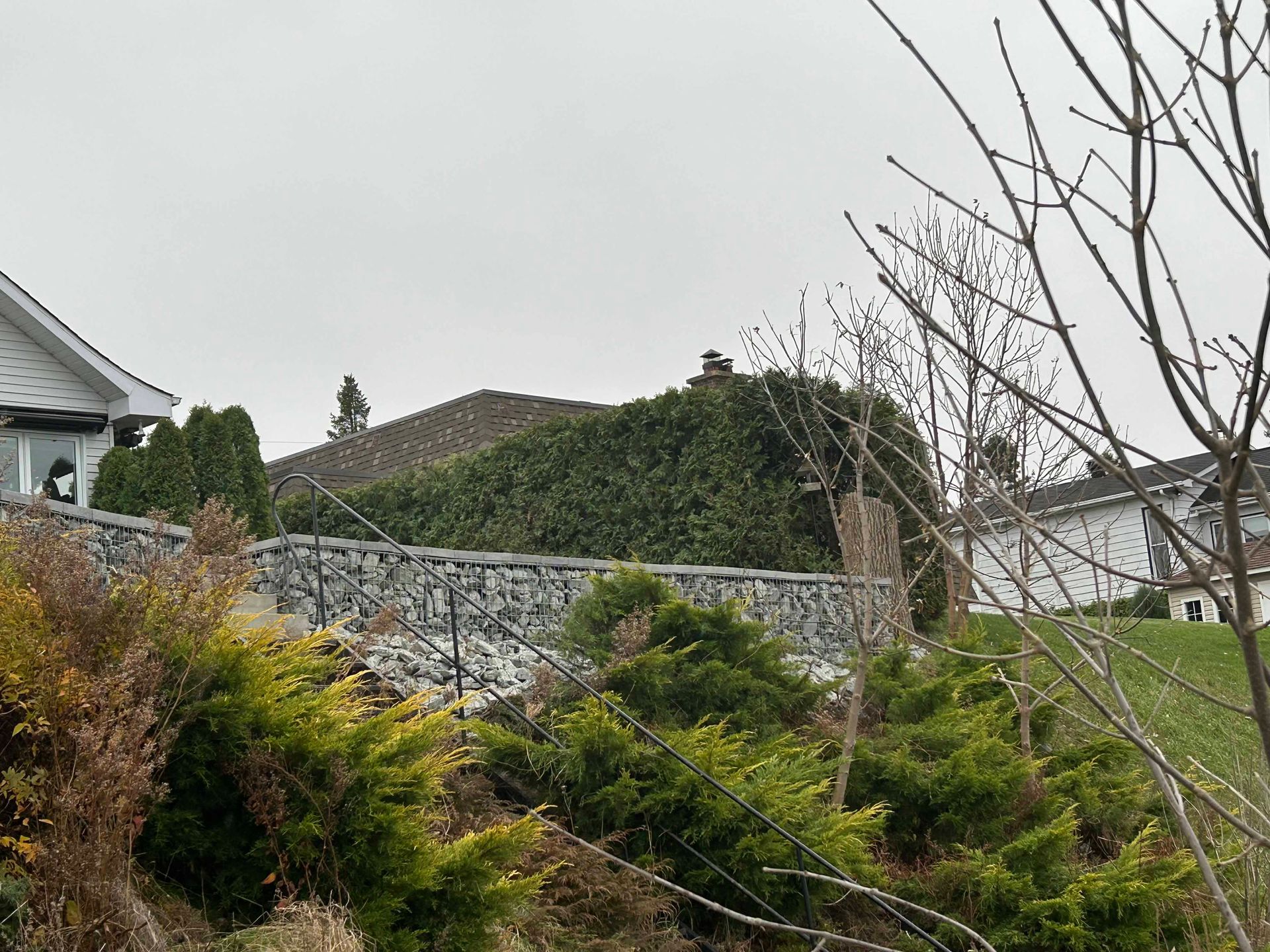 Un mur de pierre est entouré d'arbres et de buissons devant une maison.