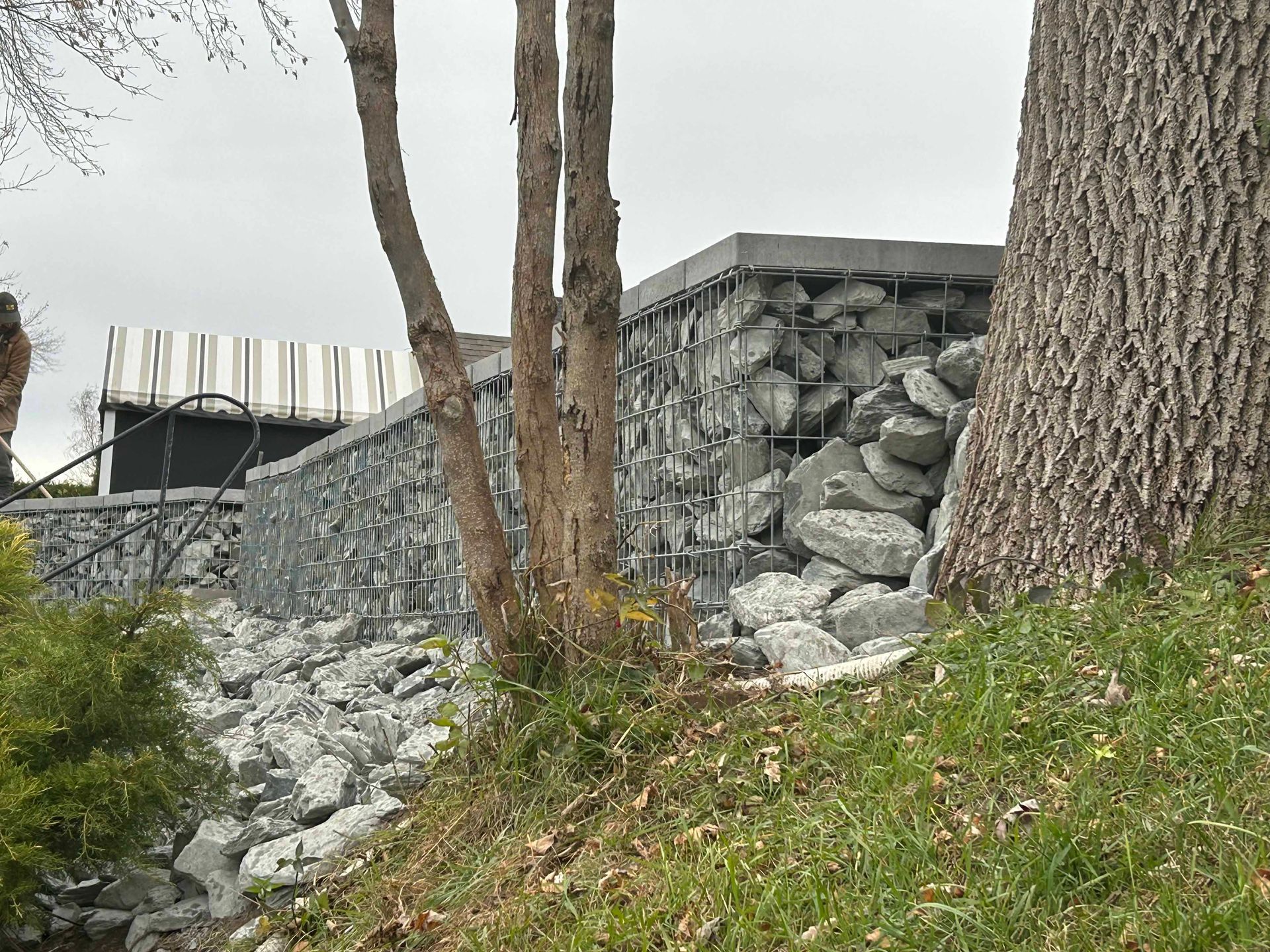 Un mur de pierre avec un arbre au premier plan et un arbre à l'arrière-plan.