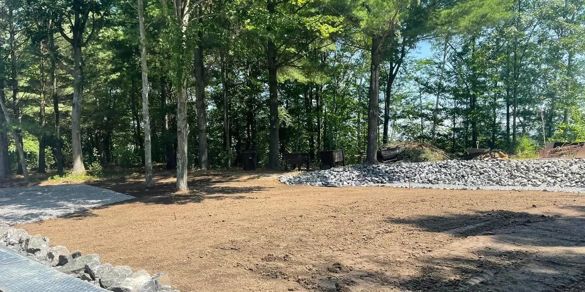 Il y a beaucoup de terre et de rochers au milieu des bois.